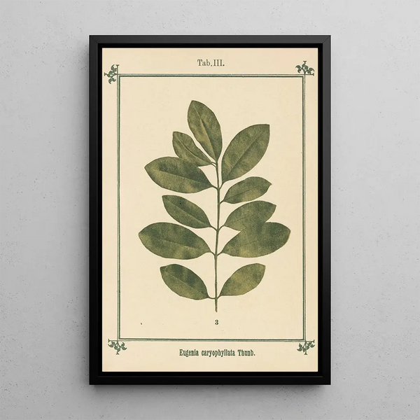 Atlas des plantes pour Ma cure d'eau Pl23 - Sebastian Kneipp — framed artwork on a wall