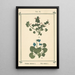 Atlas des plantes pour Ma cure d'eau Pl31 - Sebastian Kneipp — framed artwork on a wall