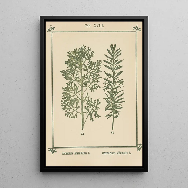 Atlas des plantes pour Ma cure d'eau Pl37 - Sebastian Kneipp — framed artwork on a wall