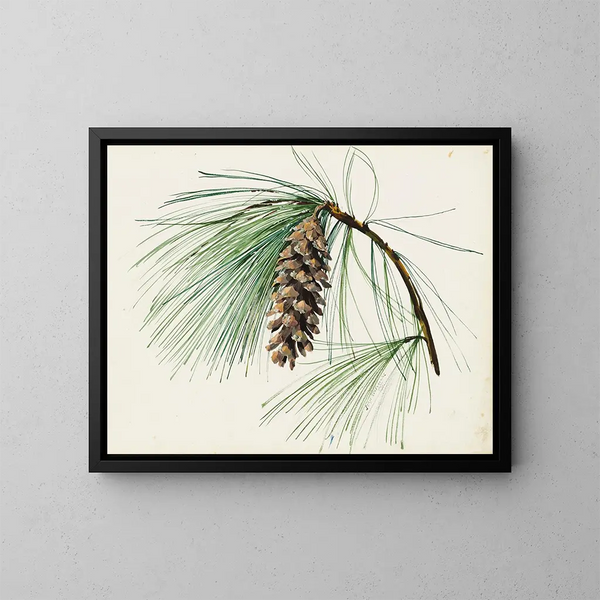 A bouquet of pine cones - Sergey Chekhonin — framed artwork on a wall