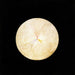 Série SUW n° 14 Swan - Hilma af Klint — artwork view