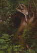 L'Écureuil - Seymour Joseph Guy — artwork view