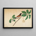 Témia vagabonde and caterpillar on a branch - Sheikh Zain al-Din — framed artwork on a wall