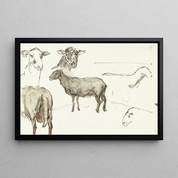 Sketches of sheep - Sientje Mesdag van Houten — framed artwork on a wall