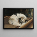 Dog resting - Sigrid Granfelt — framed artwork on a wall