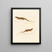 Eremias knoxii Eremias lineo-ocellata - Sir Andrew Smith — framed artwork on a wall