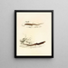 Gerrhosaurus sepiformis Gerrhosaurus subtessellatus - Sir Andrew Smith — framed artwork on a wall