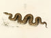 Python natalensis - Sir Andrew Smith — artwork view