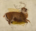 Deer dying - Sir Edwin Henry Landseer — artwork view