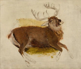 Deer dying - Sir Edwin Henry Landseer — artwork view