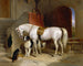 The favorites of H.R.H. Prince George of Cambridge - Sir Edwin Henry Landseer — artwork view