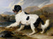 Lion, a Newfoundland dog - Sir Edwin Henry Landseer — artwork view
