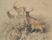 Certains des plus beaux cerfs de la forêt - Sir Edwin Henry Landseer — artwork view