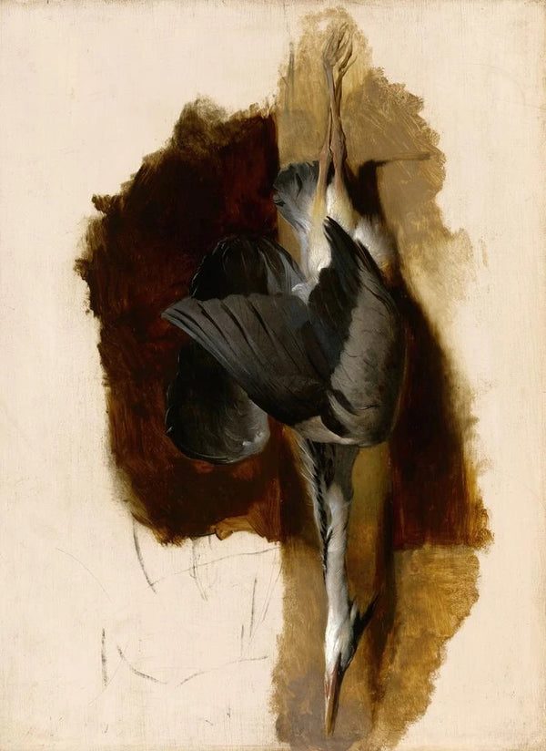 Study of a dead heron - Sir Edwin Henry Landseer — framed artwork on a wall