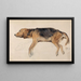 Study of a Reclining Dog - Sir Edwin Henry Landseer — framed artwork on a wall