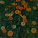 Daisies - Koloman Moser — artwork view