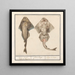 Squatina of violet from the Rhinobatidae family - Anselmus Botius de Boodt — framed artwork on a wall