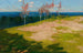 Landscape with Birches - Stanisław Jarocki — artwork view