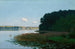 Lake with Water Lilies - Stanisław Witkiewicz — artwork view