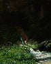 Source - Stanisław Witkiewicz — artwork view