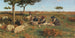 La tonte des moutons - Stefano Bruzzi — artwork view