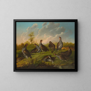 Flock of partridges in a landscape - Stephen Elmer — framed artwork on a wall