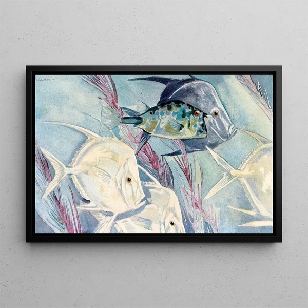 Fish Moon - Stephen Haweis — framed artwork on a wall