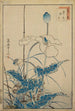 Bird above the poppies - Sugakudo — artwork view