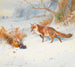 Survolé par les battants - Archibald Thorburn — artwork view