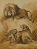 a lion, a lioness, and two cubs - Sydenham Edwards — artwork view