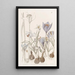 Autumn Crocus Painting - Sydenham Edwards — framed artwork on a wall