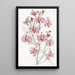 Schizanthus with rounded petals - Sydenham Edwards — framed artwork on a wall