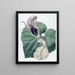 Aristoloche à fleurs de bateau - Sydenham Edwards — framed artwork on a wall