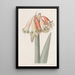 Coburgia changeante - Sydenham Edwards — framed artwork on a wall