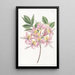 Azalée pontique changeante - Sydenham Edwards — framed artwork on a wall