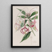 Posoqueria changeante - Sydenham Edwards — framed artwork on a wall