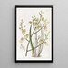Oncidium with chive leaves - Sydenham Edwards — framed artwork on a wall