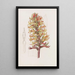 Stenorhynchus cinabre - Sydenham Edwards — framed artwork on a wall