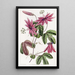 Passionflower Crimson Painting - Sydenham Edwards — framed artwork on a wall