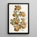 Oncidium with curly flowers - Sydenham Edwards — framed artwork on a wall