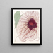 Aristoloche géante - Sydenham Edwards — framed artwork on a wall