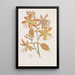 Golden Tritonia Painting - Sydenham Edwards — framed artwork on a wall