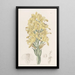 Chloraea with green veins - Sydenham Edwards — framed artwork on a wall