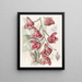 Humboldt Peristéria Painting - Sydenham Edwards — framed artwork on a wall