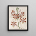 Variety with Large Flowers of Trompette Schomburgkia - Sydenham Edwards — framed artwork on a wall