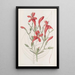 Ruellia à grandes feuilles - Sydenham Edwards — framed artwork on a wall
