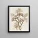 Sea Lavender with Large Leaves - Sydenham Edwards — framed artwork on a wall