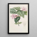 Ruellia à fleurs lilas - Sydenham Edwards — framed artwork on a wall