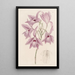 Laelia à longues tiges - Sydenham Edwards — framed artwork on a wall