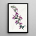 Lobélie pourpre de Lows - Sydenham Edwards — framed artwork on a wall